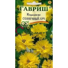 Кореопсис Солнечный луч