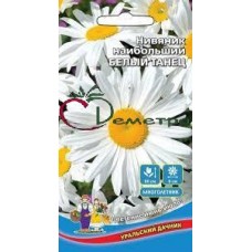 Нивяник Белый танец наибольший Нивяник Белый танец наибольший