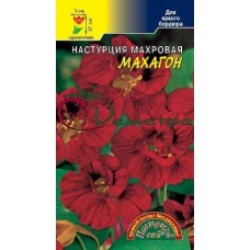 Настурция Махагон махровая