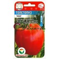 Томат Толстопуз