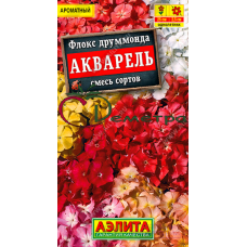 Флокс Акварель