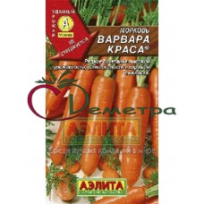 Морковь Варвара краса