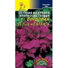 Петуния Бархат Бордовая махровая