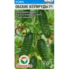 Огурец Обские изумруды