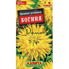 Цинния Богиня