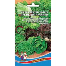 Салат Смесь сортов Яркие витаминки