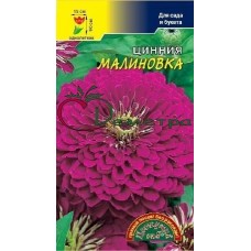 Цинния Малиновка Цинния Малиновка