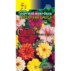 Георгина Махровая Бордюрная смесь