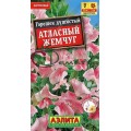 Душистый горошек Атласный жемчуг