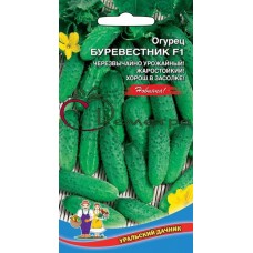 Огурец Буревестник Огурец Буревестник