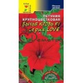 Петуния LOVE Бычья кровь