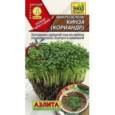 Микрозелень Кинза ( Кориандр армянский )