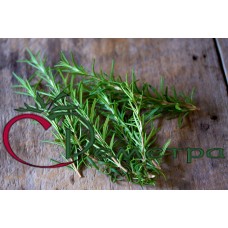 Розмарин Ароматный Розмарин Ароматный