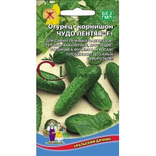 Огурец Чудо Лентяя Огурец Чудо Лентяя