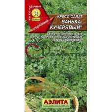Кресс-салат Ванька-кучерявый