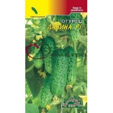 Огурец Лавина Огурец Лавина