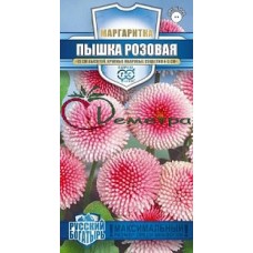 Маргаритка Пышка розовая, серия Русские богатыри