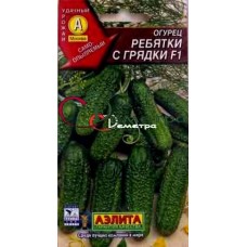 Огурец Ребятки с грядки