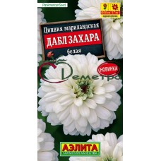 Цинния Дабл Захара Белая