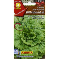 Салат Витаминный листовой