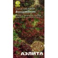 Салат Волшебник листовой