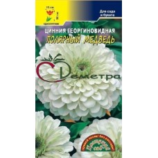 Цинния Полярный медведь Цинния Полярный медведь