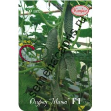 Огурец Маша 10*20