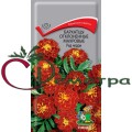 Бархатцы Ред черри отклонен. махровые