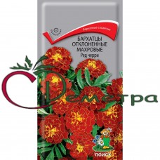 Бархатцы Ред черри отклонен. махровые