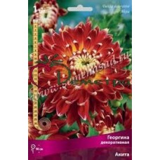 Георгин Акита