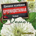 Цинния Крупноцветковая Белая