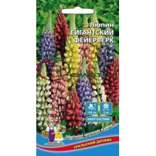 Люпин Гигантский фейерверк Люпин Гигантский фейерверк