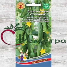 Огурец Отличник Огурец Отличник