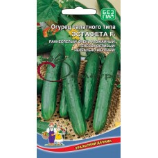 Огурец Эстафета Огурец Эстафета