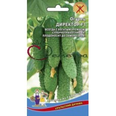 Огурец Директор Огурец Директор