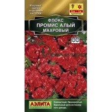 Флокс Промис алый