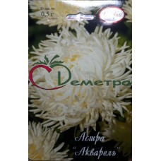 Астра Акварель Белая