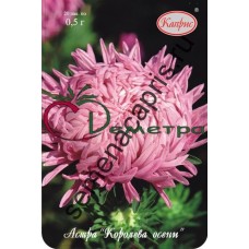 Астра Королева осени