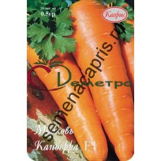 Морковь Канберра