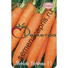 Морковь Норвегия