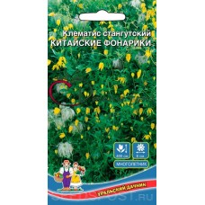 Клематис Китайские фонарики Клематис Китайские фонарики