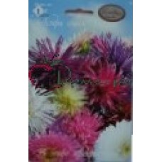 Астра Искушение Смесь