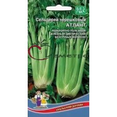 Сельдерей черешковый Атлант