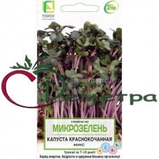 Микрозелень Капуста краснокочанная Микс