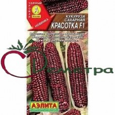 Кукуруза Красотка сахарная