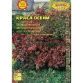 Дерен Краса осени белый