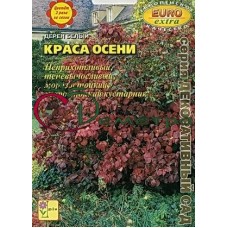 Дерен Краса осени белый