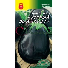 Баклажан Крупный Выигрыш