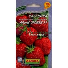 Клубника Алый огонек