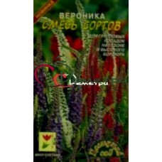 Вероника Смесь сортов